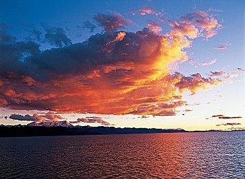 卡普空40周年纪念联名服饰将在优衣库上架